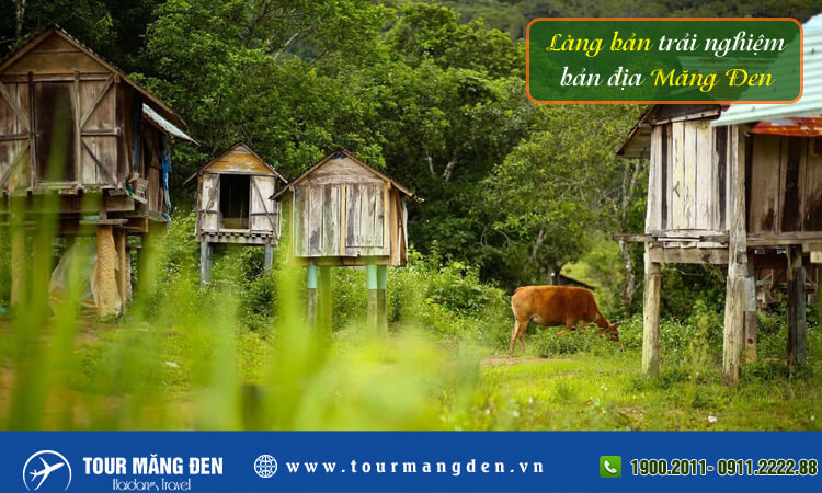 Làng bản trải nghiệm bản địa Măng Đen 