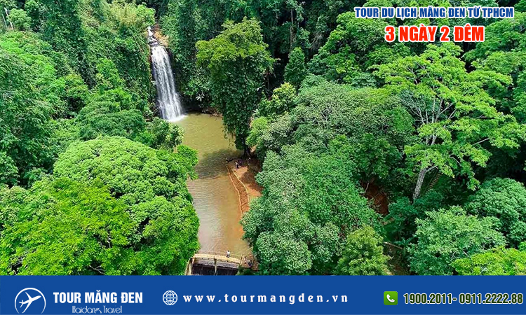 Tour Măng Đen 3 ngày 2 đêm từ TPHCM