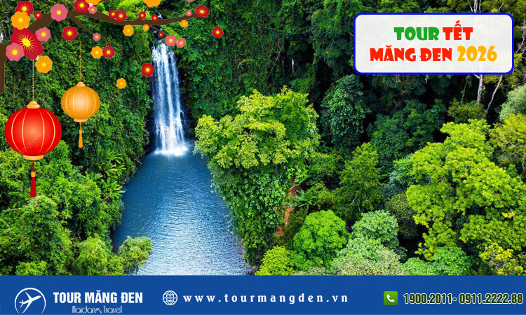 Tour Tết Măng Đen 2026 